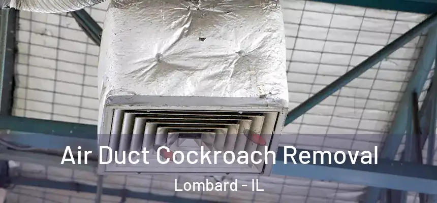 Air Duct Cockroach Removal Lombard - IL