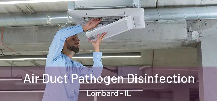  Air Duct Pathogen Disinfection Lombard - IL