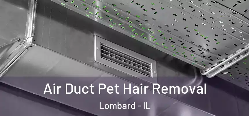  Air Duct Pet Hair Removal Lombard - IL
