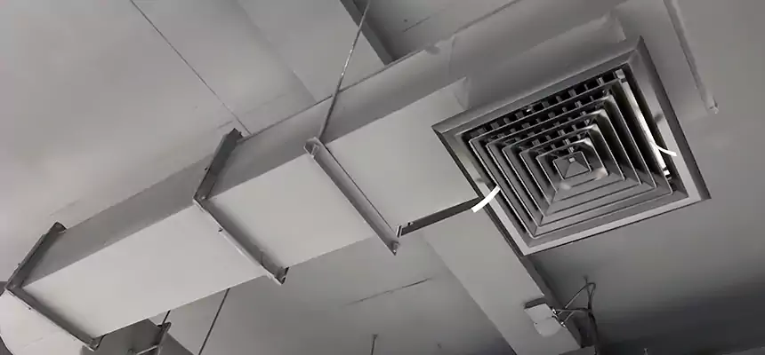 Our Pest Removal From Ducts Services in Lombard, IL