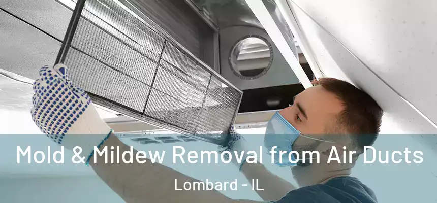  Mold & Mildew Removal from Air Ducts Lombard - IL