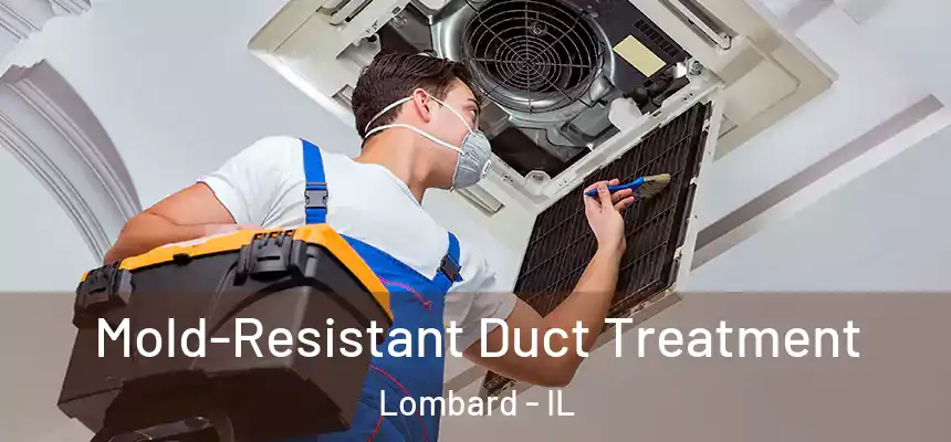  Mold-Resistant Duct Treatment Lombard - IL