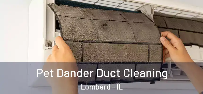 Pet Dander Duct Cleaning Lombard - IL