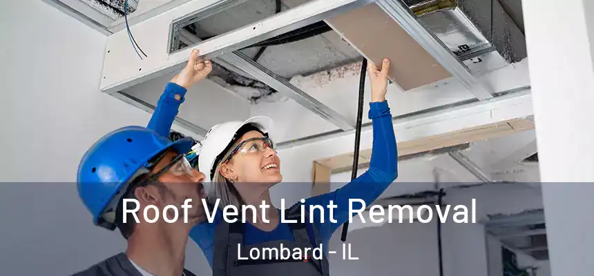  Roof Vent Lint Removal Lombard - IL