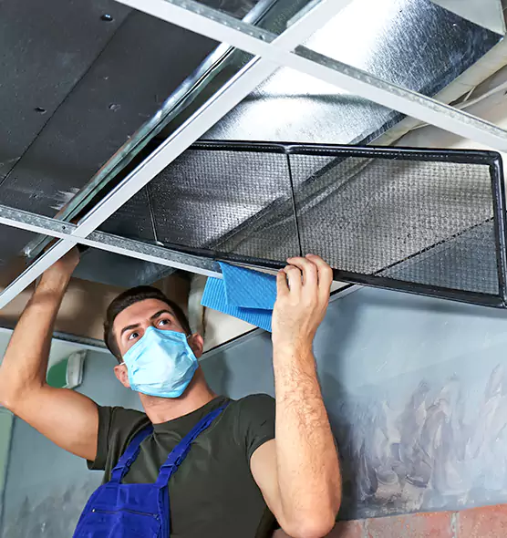 Professional Air Duct Pollen Cleaning in Lombard, IL