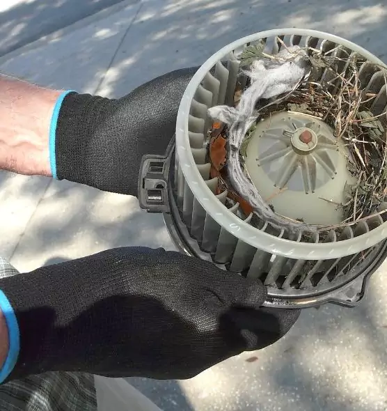 About Air Duct Rat Removal in Lombard, IL