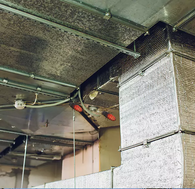 Why Homeowners & Businesses Trust Us in Lombard, IL?