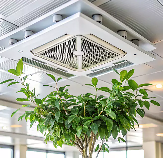 Why Homeowners & Businesses Trust Us in Lombard, IL?